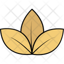 پیش‌نمایش فایل lotus-114 از پک طبیعت و پارک