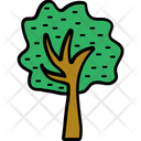 پیش‌نمایش فایل shrub-tree-55 از پک طبیعت و پارک