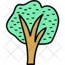 پیش‌نمایش فایل tree-1298 از پک طبیعت و پارک