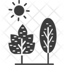 پیش‌نمایش فایل maple-leaf-47 از پک طبیعت و پارک