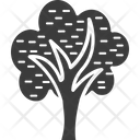 پیش‌نمایش فایل cypress-tree-6 از پک طبیعت و پارک