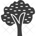 پیش‌نمایش فایل tree-1311 از پک طبیعت و پارک