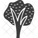 پیش‌نمایش فایل tree-1312 از پک طبیعت و پارک
