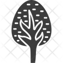 پیش‌نمایش فایل tree-1313 از پک طبیعت و پارک