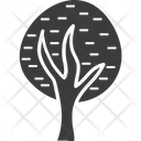 پیش‌نمایش فایل tree-1314 از پک طبیعت و پارک