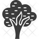 پیش‌نمایش فایل tree-1316 از پک طبیعت و پارک
