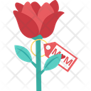 پیش‌نمایش فایل loving-flower از پک روز والد