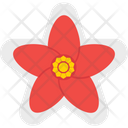 پیش‌نمایش فایل flower-1662 از پک مهمانی کریسمس
