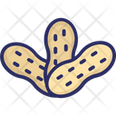 پیش‌نمایش فایل peanut-1436906 از پک غذا و نوشیدنی