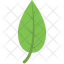 پیش‌نمایش فایل leaf-1454130 از پک غذا