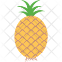 پیش‌نمایش فایل pineapple-1454625 از پک غذا