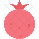 پیش‌نمایش فایل pomegranate-1454640 از پک غذا