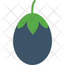 پیش‌نمایش فایل brinjal-1455197 از پک غذا