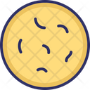 پیش‌نمایش فایل bacteria-1482717 از پک علم
