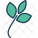 پیش‌نمایش فایل blossom-1498391 از پک گل‌دار‌ها و گل