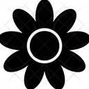 پیش‌نمایش فایل flower-1498418 از پک گل‌دار‌ها و گل