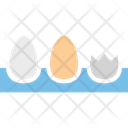 پیش‌نمایش فایل boil-egg-1560314 از پک غذا