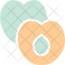 پیش‌نمایش فایل apricot-1560143 از پک غذا