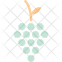 پیش‌نمایش فایل bunch-of-grapes-1560120 از پک غذا
