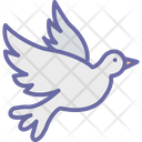 پیش‌نمایش فایل bird-1577004 از پک طبیعت