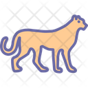 پیش‌نمایش فایل cheetah-1577024 از پک طبیعت