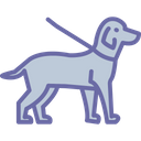 پیش‌نمایش فایل dog-1576992 از پک طبیعت