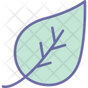 پیش‌نمایش فایل leaf-1577021 از پک طبیعت