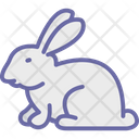 پیش‌نمایش فایل rabbit-1577008 از پک طبیعت