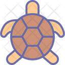 پیش‌نمایش فایل turtle-1576999 از پک طبیعت