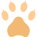 پیش‌نمایش فایل bear-footprint-1577278 از پک طبیعت