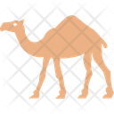 پیش‌نمایش فایل camel-1577306 از پک طبیعت