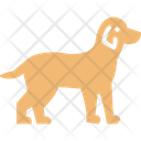 پیش‌نمایش فایل dog-1577280 از پک طبیعت
