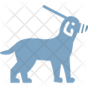 پیش‌نمایش فایل dog-1577282 از پک طبیعت
