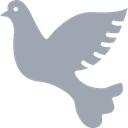 پیش‌نمایش فایل dove-1577312 از پک طبیعت