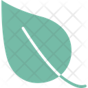 پیش‌نمایش فایل leaf-1577286 از پک طبیعت