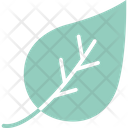 پیش‌نمایش فایل leaf-1577311 از پک طبیعت