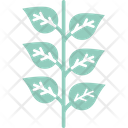 پیش‌نمایش فایل leaves-1577296 از پک طبیعت