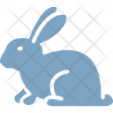 پیش‌نمایش فایل rabbit-1577298 از پک طبیعت