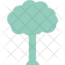 پیش‌نمایش فایل tree-1577307 از پک طبیعت