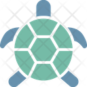 پیش‌نمایش فایل turtle-1577289 از پک طبیعت