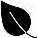 پیش‌نمایش فایل leaf-1577336 از پک طبیعت