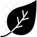 پیش‌نمایش فایل leaf-1577361 از پک طبیعت