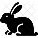 پیش‌نمایش فایل rabbit-1577348 از پک طبیعت