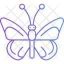 پیش‌نمایش فایل butterfly-13689746 از پک روز زن