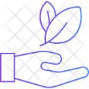 آیکن