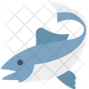 پیش‌نمایش فایل whale-1753974 از پک سفر