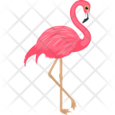 پیش‌نمایش فایل andean-flamingo-1836620 از پک پرندگان