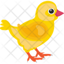 پیش‌نمایش فایل baby-chicken-1836583 از پک پرندگان