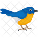 پیش‌نمایش فایل blue-bird-1836589 از پک پرندگان