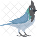 پیش‌نمایش فایل blue-jay-1836590 از پک پرندگان